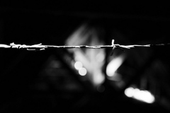 L1180509__20220528_CM