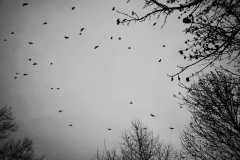 9CCB8DD9-BCD7-42D0-85CB-5938491AA4A2