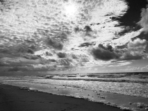 411D4E2D-4931-42E8-AAEB-BA8EFD606D6C