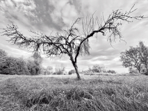 IMG_6425__20221015_CM