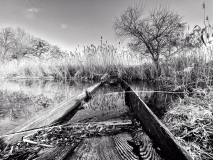 IMG_7609__20230204_CM