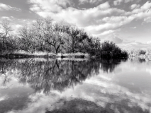 IMG_7619__20230204_CM